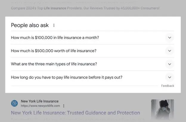 People Also Ask and featured snippet