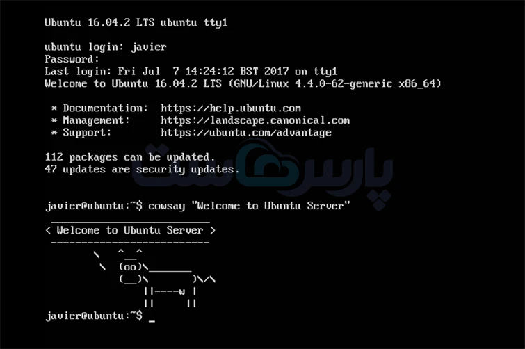 Ubuntu Server