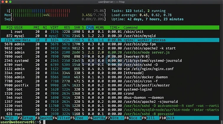 پایش لحظهای پردازشها با دستور top و htop