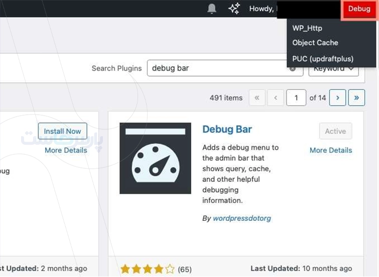 افزونه Debug Bar