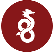 wireguard Logo